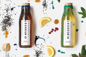 Diese Abschlussarbeit von Laura Moosburner zeigt...