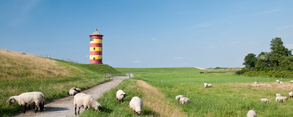 Bachelor Mediendesign in Niedersachsen?